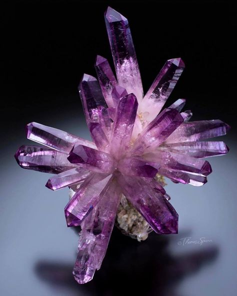 Luxury Jewelry Meanings: decoding the secrets 14 Luxury Jewelry: Amethyst