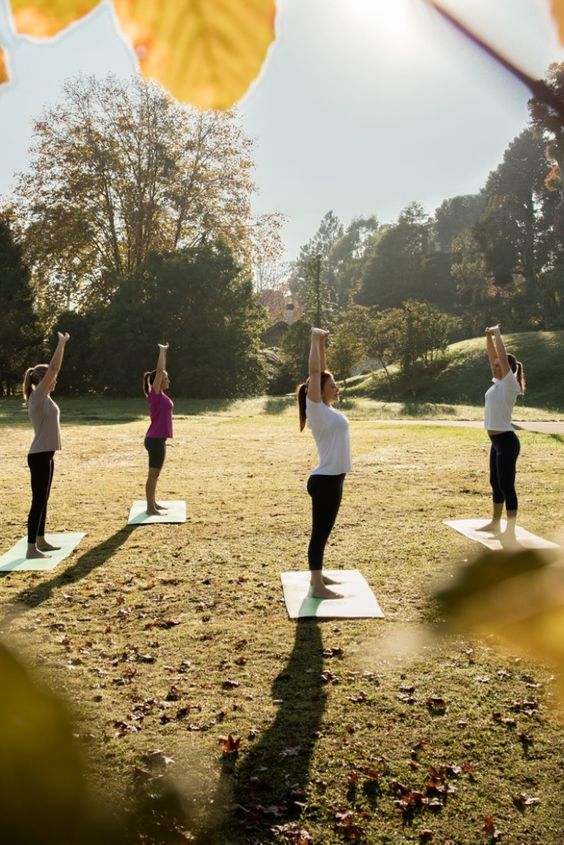 The Future of Luxury Wellness: Trends Shaping the Industry 2 Wellness