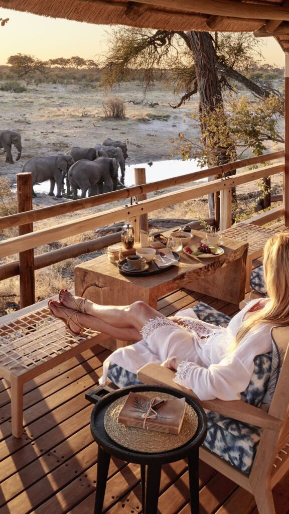Embarking on a Luxurious Safari Adventure 2 Safari